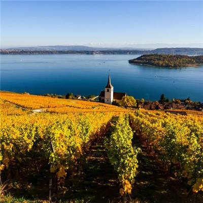 快彩乐首页下载手机版