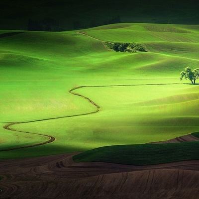 半岛平台官方网站入口网址