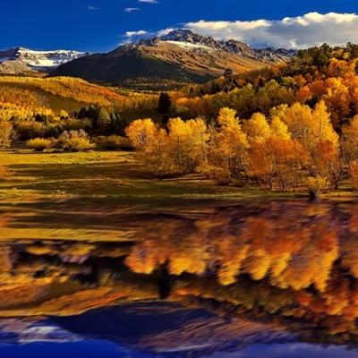 澳门第一娱乐娱城官网