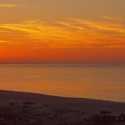 BET9登录APPapp下载