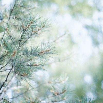 bat365官网登录入口手机app下载