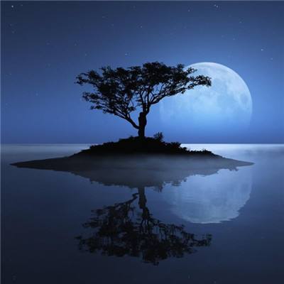 押注篮球的app下载手机版