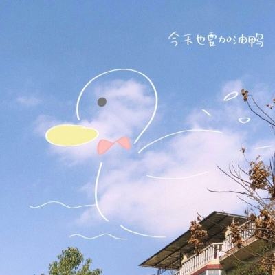 一码一肖100准资料应用下载手机版截图