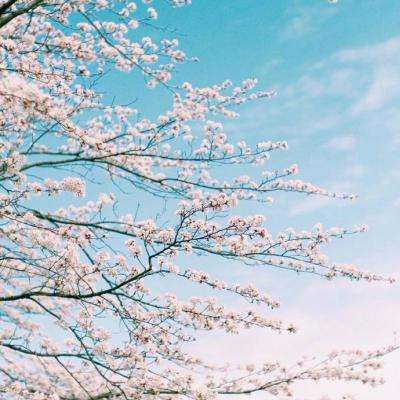 皇冠新体育app下载